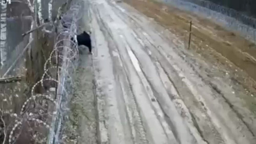 4JxvKx APKQObNuJ.jpg