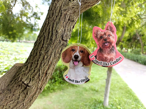 Car Air Fresheners Wholesale Suppliers – Best Bulk Deals!.jpg