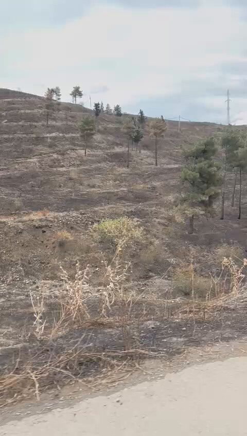 jyMAj4QqhNvhNz Q.jpg