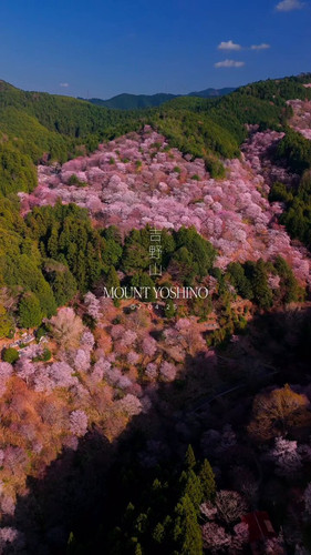 g5syi5bdr52 LFOK.jpg