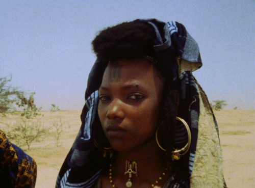 vlcsnap 2025 06 07 15h49m12s808.png