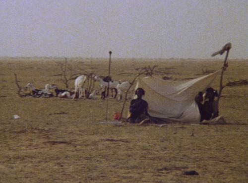 vlcsnap 2025 06 07 15h51m22s569.png