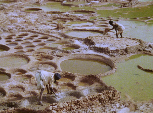 vlcsnap 2025 06 07 15h52m00s062.png