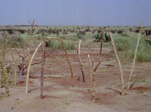 vlcsnap 2025 06 07 15h54m34s725.png