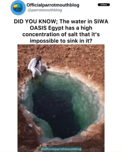 QZb2iCzW IbwGIj4.jpg