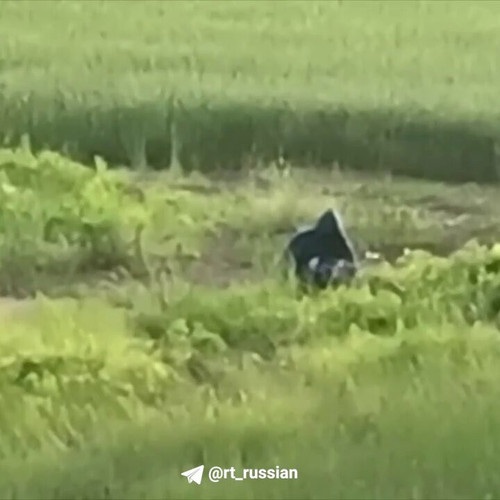 sf UNOP8ikUIZ4aA.jpg