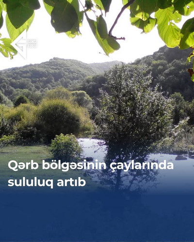 503985563 744965347882482 8646259818130657815 n.jpg?stp=dst jpg s640x640 tt6& nc cat=106&ccb=1 7& nc.jpg