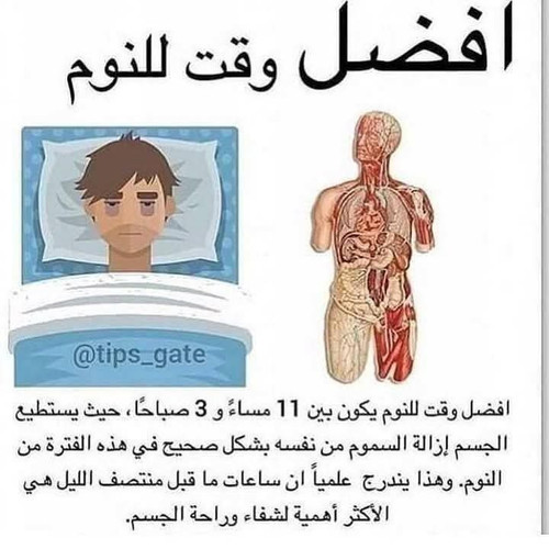 F3SKBEu.md.jpg