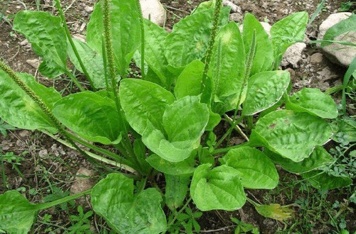 503702794 1141511298018332 4108768349791729220 n.jpg? nc cat=101&ccb=1 7& nc sid=127cfc& nc ohc=23qo.jpg