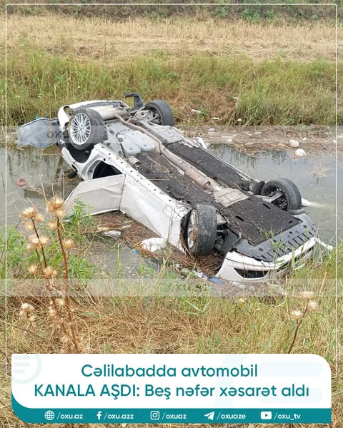 494418008 733611999322935 132754969621322729 n.jpg?stp=dst jpg s600x600 tt6& nc cat=108&ccb=1 7& nc .jpg