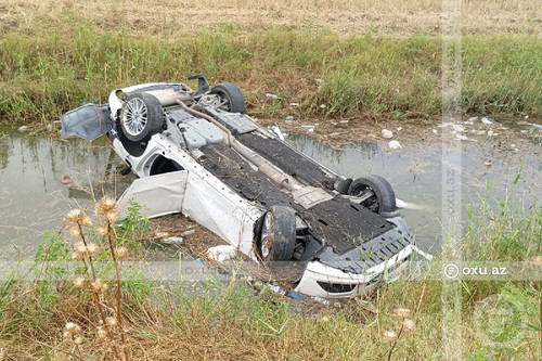 SRCLbrVcVS3LikF4of9J3eksJNoalNKojgcaKsaFShoA2DqhZEaBnTPPajF6GilYnCTJxquUmdEpN8jUPo66I5 QnNgckccXKb D.jpg