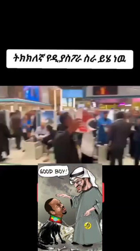 ZXvLKfrPOtzr J6R.jpg