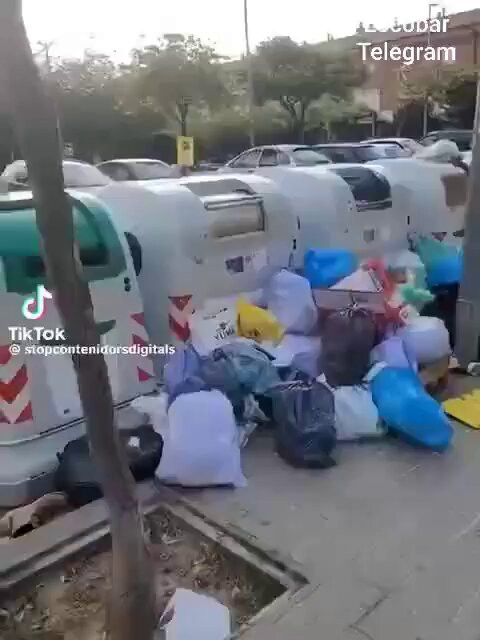 QiKzJQq87kfwyqO3.jpg