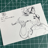 A master study based on a Schmoe's mermaid