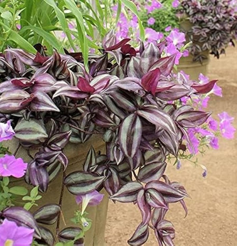 513Q2xrQJ5L. AC UF894,1000 QL80.jpg