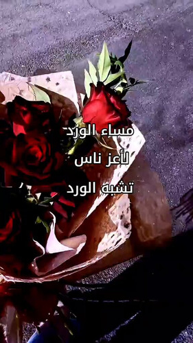 AMcoOsjzXSnHG hy.jpg