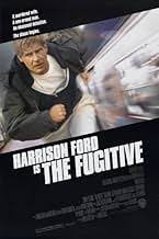 The Fugitive.jpg