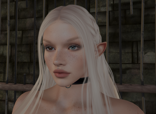 Snapshot 024.png