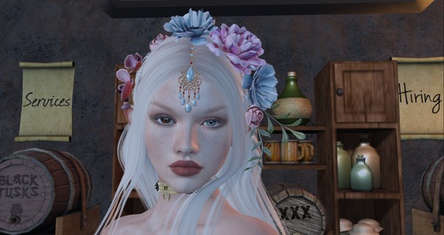 Snapshot 313.png