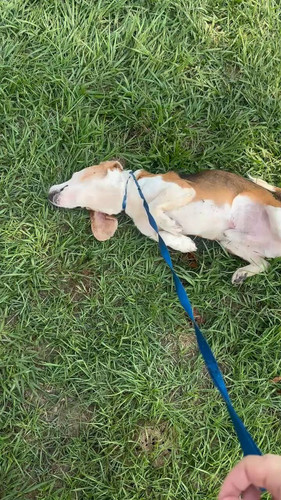 0jXgiSGoIwuAeXrR.jpg