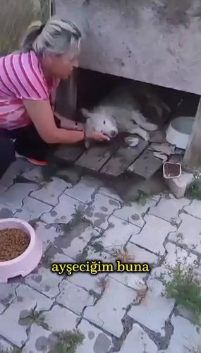 TAOVMcjq9qUTJh0H.jpg