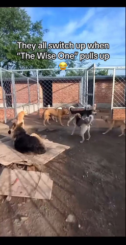 vIAn ptRYqbaF7sD.jpg