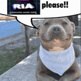 Capture decran 2024 11 19 214428.png