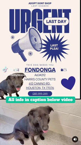 Q1ydp XIEaEDZgsD.jpg