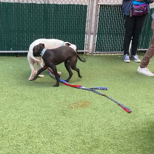 nOfhdL VgbUrl2rA.jpg