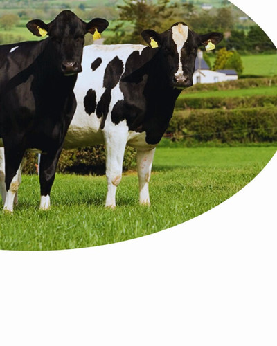 LUtyog6Ky L6w2tN.jpg