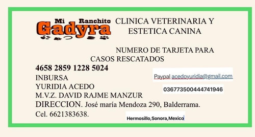 GsjcBnTasAIjA p?format=jpg.jpg