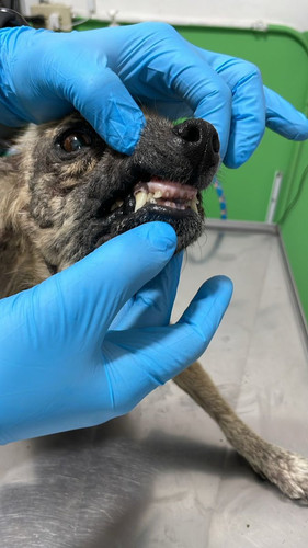 GsjkMk asAE0JuG?format=jpg.jpg