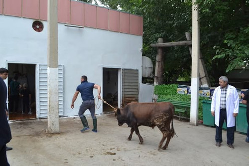 504914774 3272697436221015 786202122548205391 n.jpg?stp=dst jpg p526x395 tt6& nc cat=111&ccb=1 7& nc.jpg