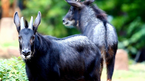 xi VHgEYY9sSDYz1.jpg