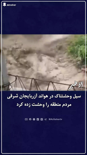 bfB OzvyNs9MP3LS.jpg