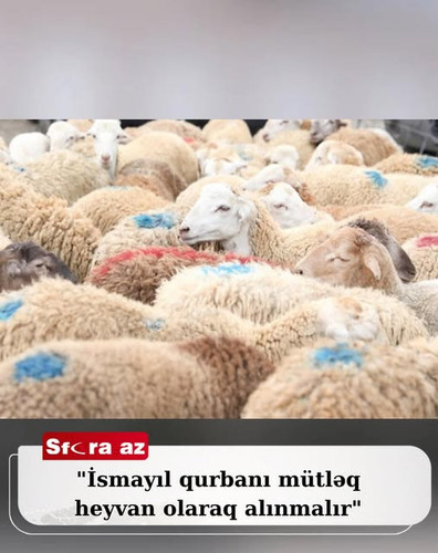 504957386 1254698586025677 8154791429995416081 n.jpg?stp=dst jpg s640x640 tt6& nc cat=111&ccb=1 7& n.jpg