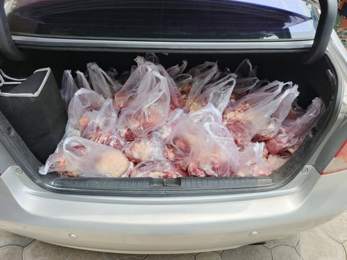 503802858 652668201088025 8911433069317453413 n.jpg?stp=dst jpg s720x720 tt6& nc cat=105&ccb=1 7& nc.jpg