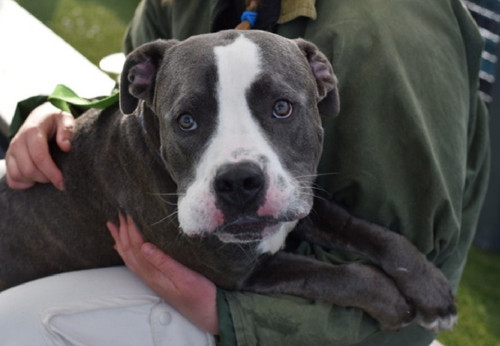 GqIh8LjXAAAxBu ?format=jpg.jpg