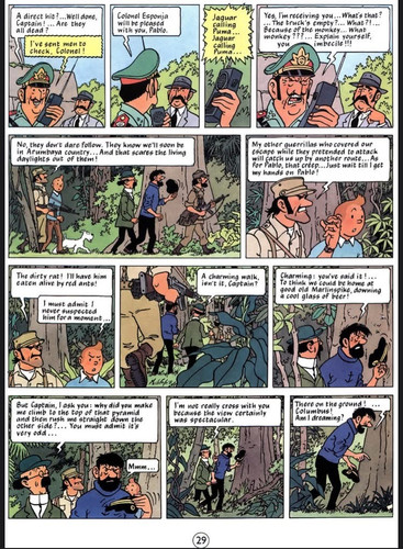 tintin 1 IMG 2280.jpg
