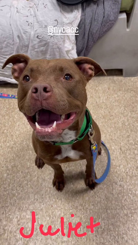 Hn4K5ddsTBUdsf V.jpg