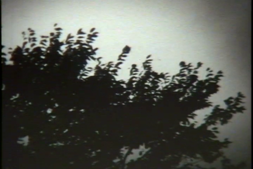 vlcsnap 2025 06 07 18h55m49s335.png