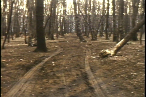 vlcsnap 2025 06 07 18h55m40s114.png