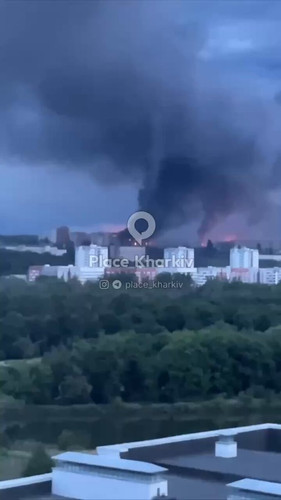 Ogzp weyKd0T7Gdo.jpg