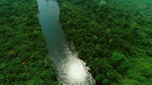 yZTazCBXH fl0BIm.jpg