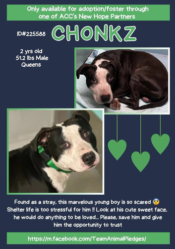 GqC3 G2XoAA9rR ?format=jpg.jpg