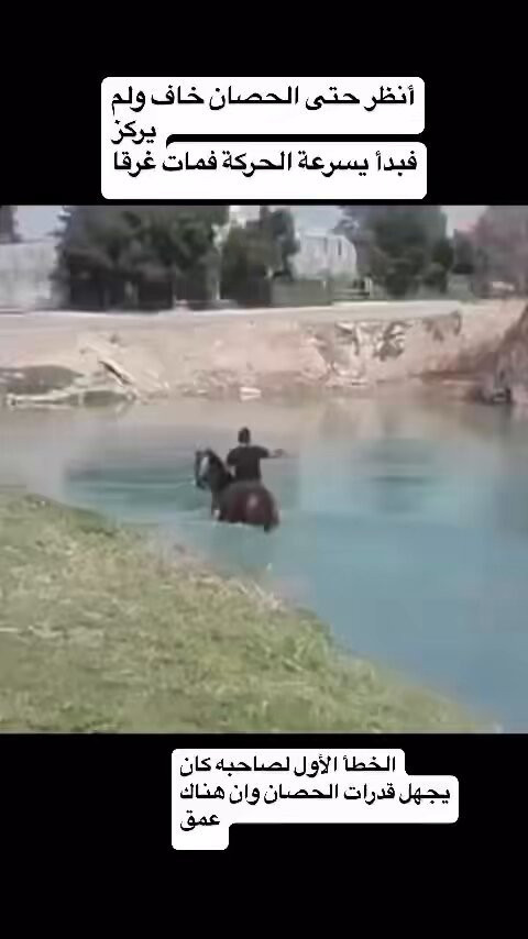 qQ eaFfL3DkQeJJX.jpg