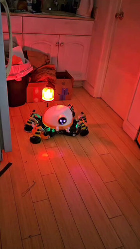 2 GuTNvnNX X6gim.jpg