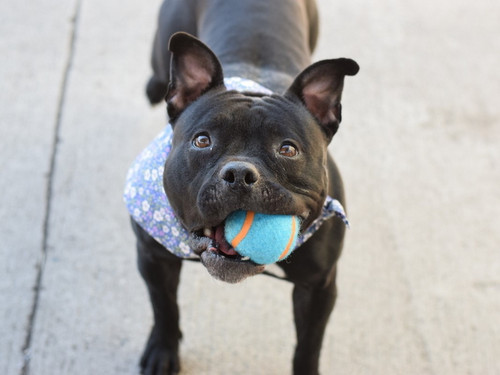 FxAdm1SaAAAW HY?format=jpg.jpg