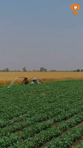 ekL ZLnE8WCdNrf9.jpg