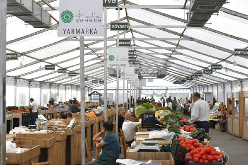 opA5PKm6ygxfnnHuLes7ph944Ju2grOImL7NWRpveJaAJuXCuNq1my16R4AqWmQjG3j0wS0t4GTrmld3u5jjTy6coKuJD2F6 vIx.jpg